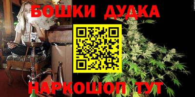 шишки Будённовск